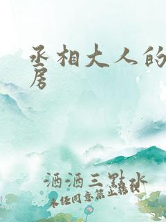 丞相大人的小通房