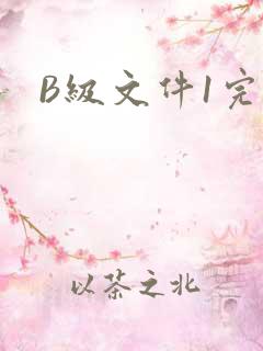B级文件1完整