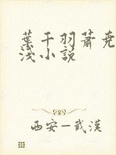 叶千羽萧尧白清浅小说