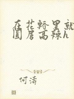 在花轿里就开始圆房高辣h