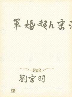 军婚超h密液