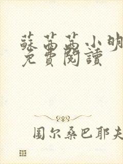 苏茜茜小明全文免费阅读