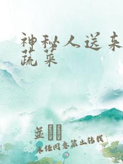 神秘人送来千斤蔬菜