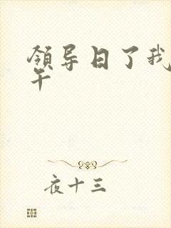 领导日了我一下午