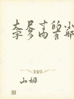 大尺寸的小黄说字多肉有哪些