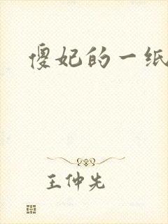 傻妃的一纸休书