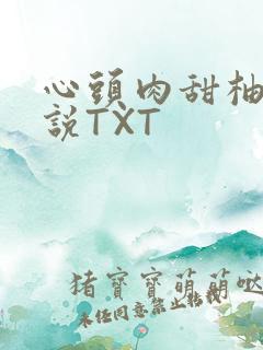 心头肉甜柚子小说TXT