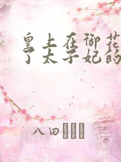 皇上在御花园c了太子妃的网剧