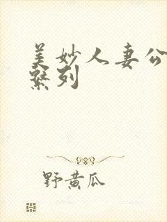 美妙人妻公务员系列