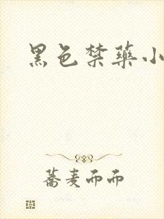 黑色禁药小说