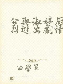 公与淑婷厨房猛烈进出剧情介绍