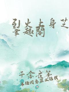 引火上身芝麻糖笔趣阁