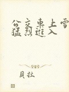 公交车上雪柔被猛烈进入