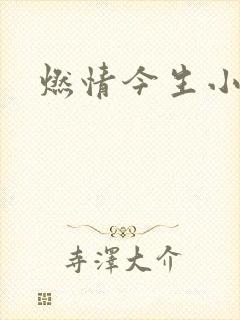 燃情今生小说