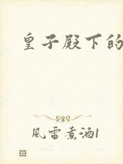 皇子殿下的傲妃