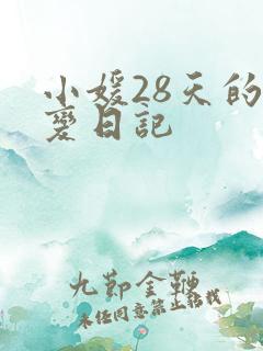 小媛28天的剧变日记