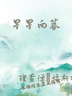 星星向蓉