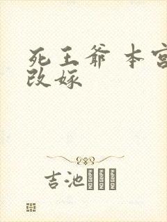 死王爷 本宫已改嫁