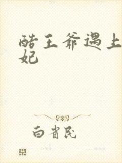 酷王爷遇上穿越妃