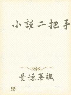 小说二把手