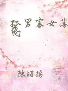 孤男寡女落瑛纷飞