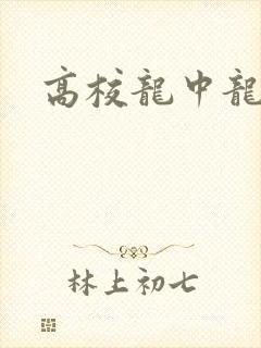 高校龙中龙