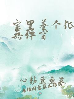 家里养个狐狸精无弹窗