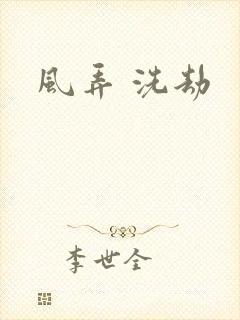 风弄 洗劫
