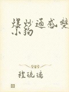 爆炒通感双胞胎小狗