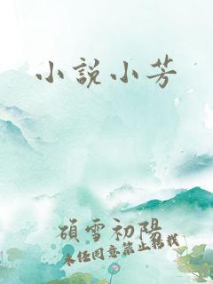 小说小芳