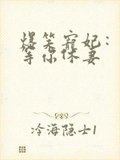 爆笑宠妃：爷我等你休妻