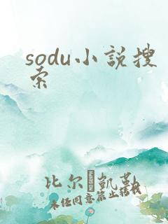 sodu小说搜索
