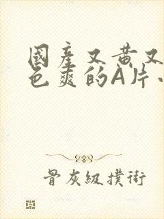 国产又黄又大又色爽的A片小说