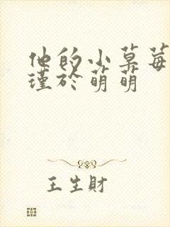 他的小草莓沈修瑾于萌萌