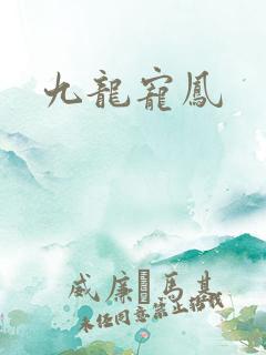 九龙宠凤