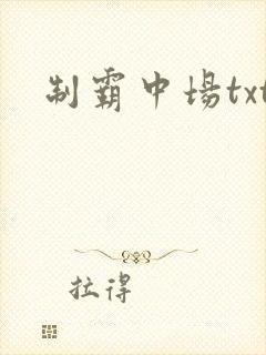 制霸中场txt