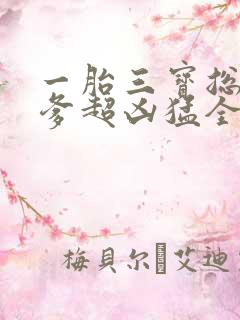 一胎三宝总裁爹爹超凶猛全文免费阅读