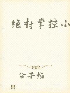 绝对掌控小说
