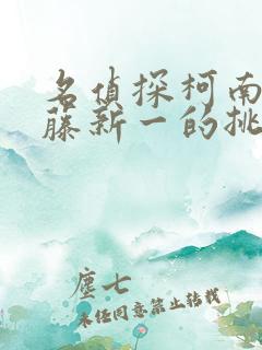 名侦探柯南给工藤新一的挑战书