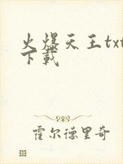 火爆天王txt下载