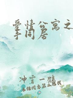 爱情公寓之与杀手同居