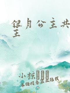 银月公主共享公主