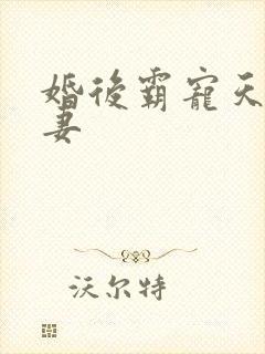 婚后霸宠天价小妻