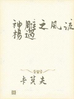 神雕之风流浪子杨过