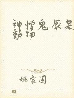 神憎鬼厌是什么动物