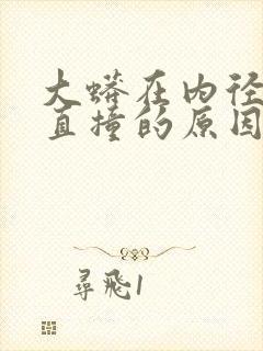 大蟒在内径横冲直撞的原因