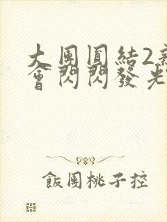 大团圆结2亲情会闪闪发光亲情会2