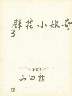 壁花小姐奇遇记3