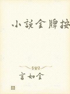 小说金牌按摩师