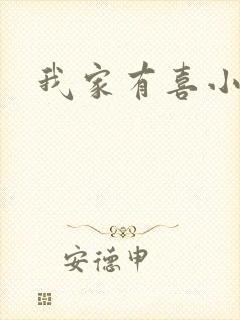 我家有喜小说
